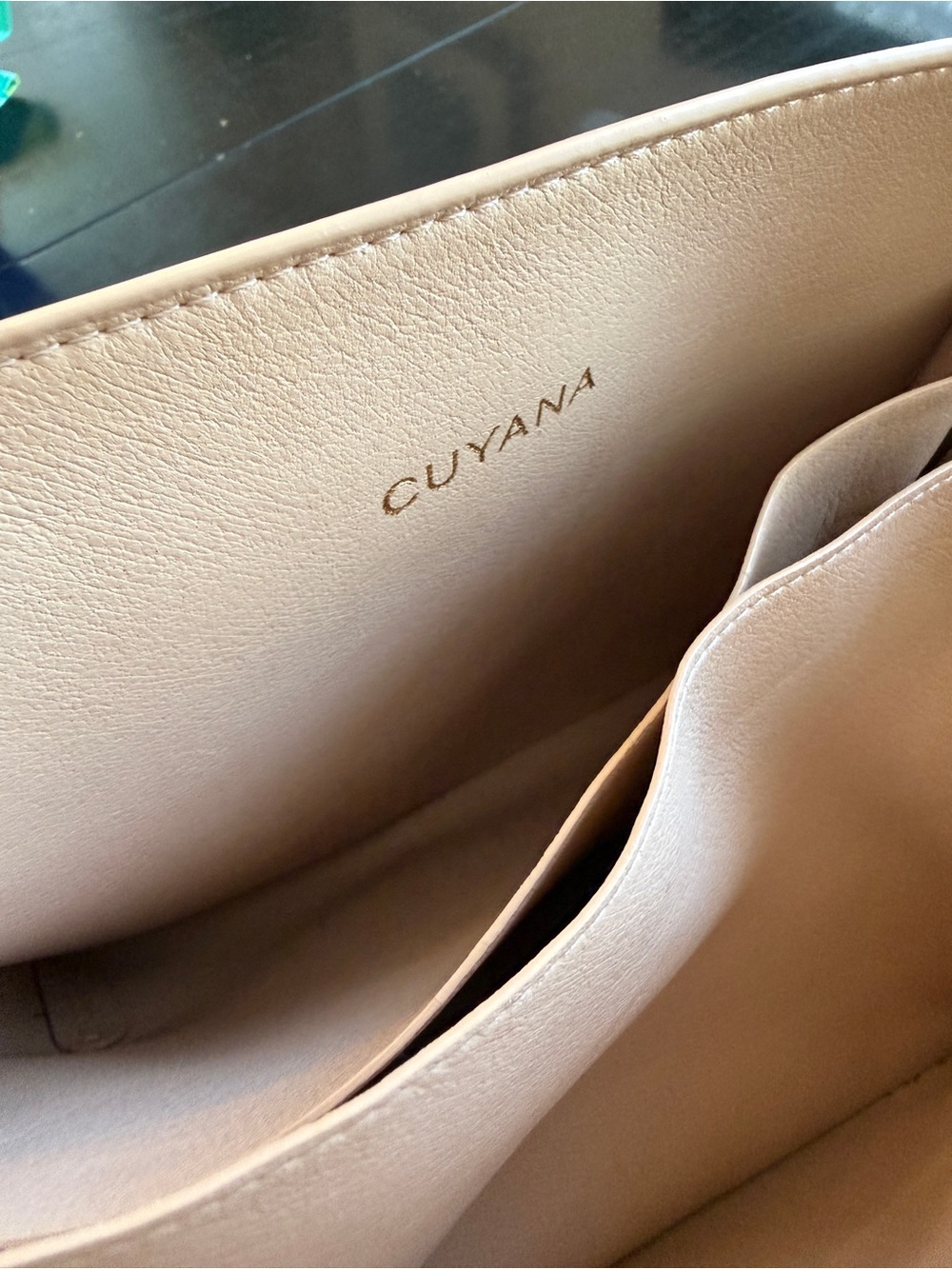 Cuyana Classic Easy Zipper Tote w/ Insert, Strap, Pouch - Black & Blush - Picture 16 of 16